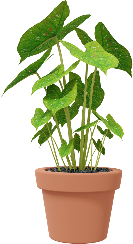 Botanical potted plant