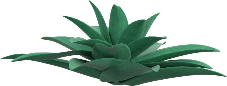 3D rendering illustration of a stylized succulent plant