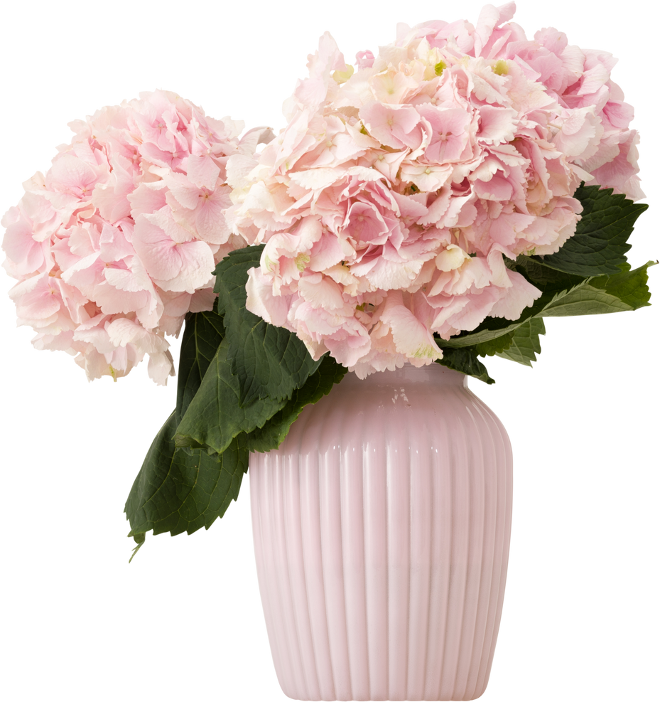 Light Pink Carnations on Pink Ceramic Vase